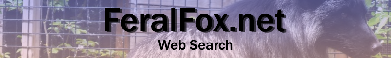 SearXNG